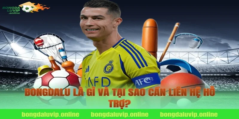 Bongdalu Là Gì Và Tại Sao Cần Liên Hệ Hỗ Trợ?