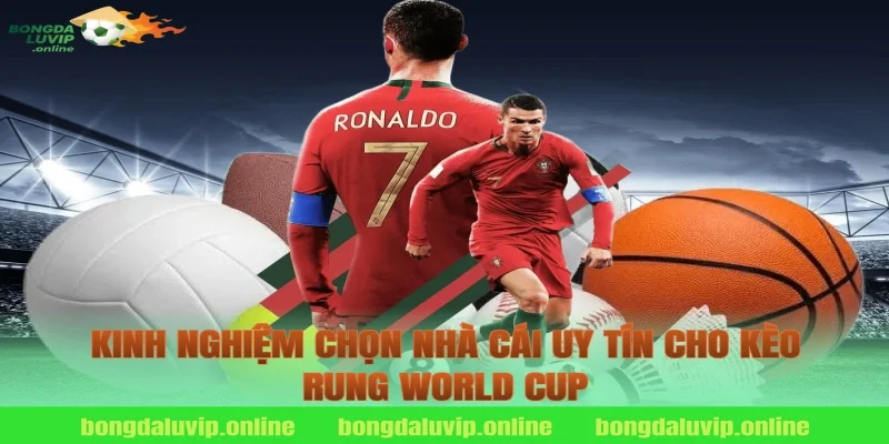Kinh nghiệm chọn nhà cái uy tín cho kèo rung world cup
