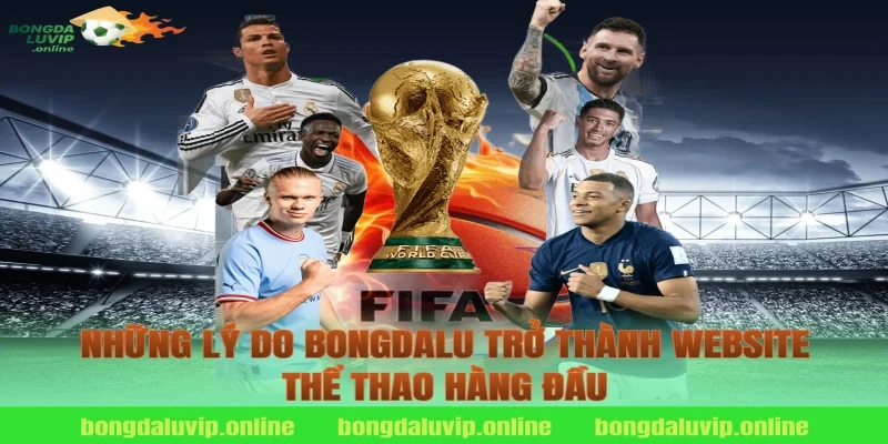 Những lý do Bongdalu trở thành website thể thao hàng đầu