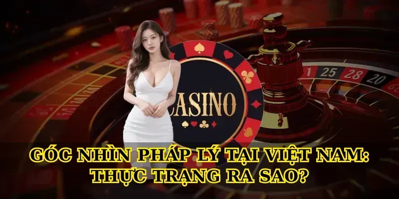 Góc Nhìn Pháp Lý Tại Việt Nam: Thực Trạng Ra Sao?